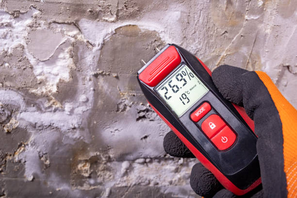 Best DIY Mold Remediation Support Services in Marceline, MO