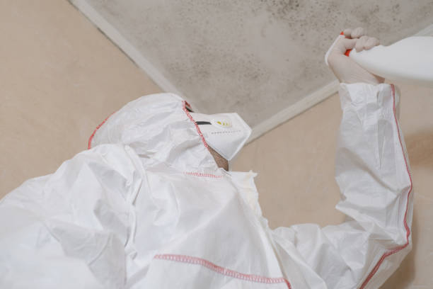 Best Residential Mold Remediation in Marceline, MO