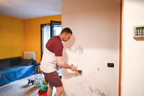 Best Commercial Mold Remediation in Marceline, MO